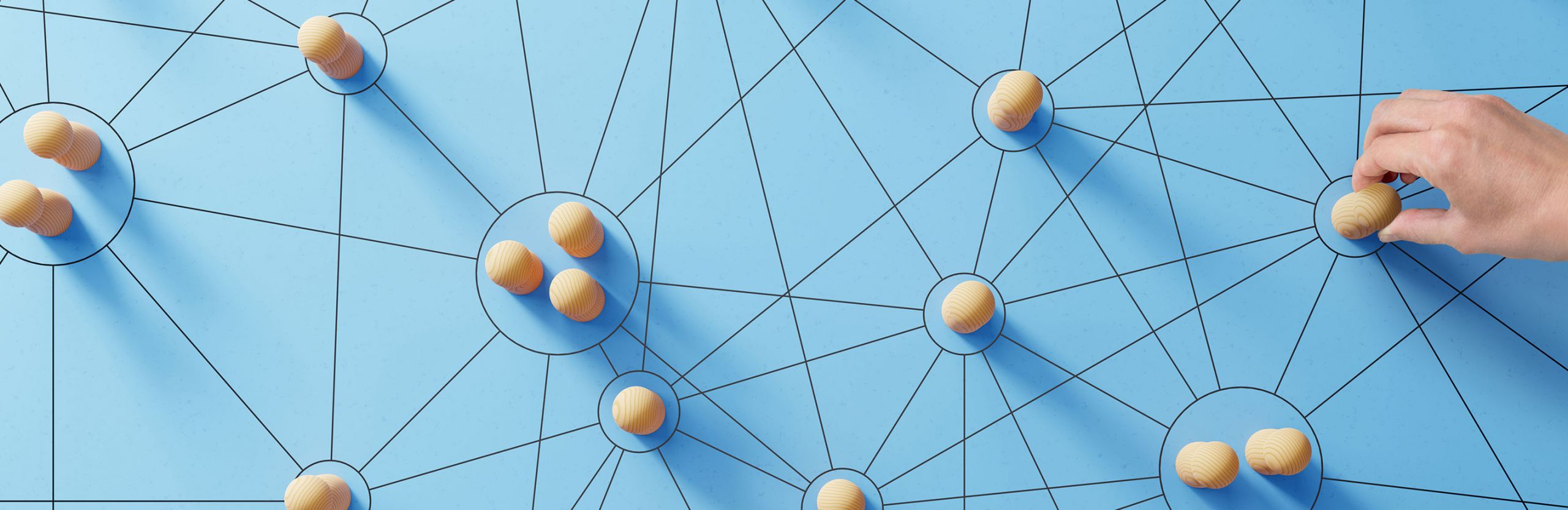 Senior Project Manager for Redesign and Automation of Business Processes - develogment